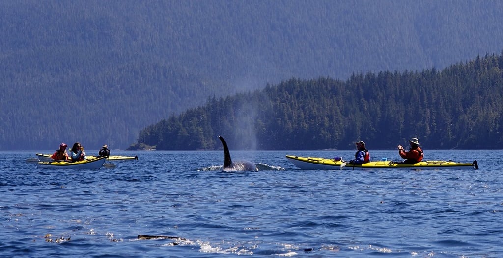 Orca Camp Vancouver Island