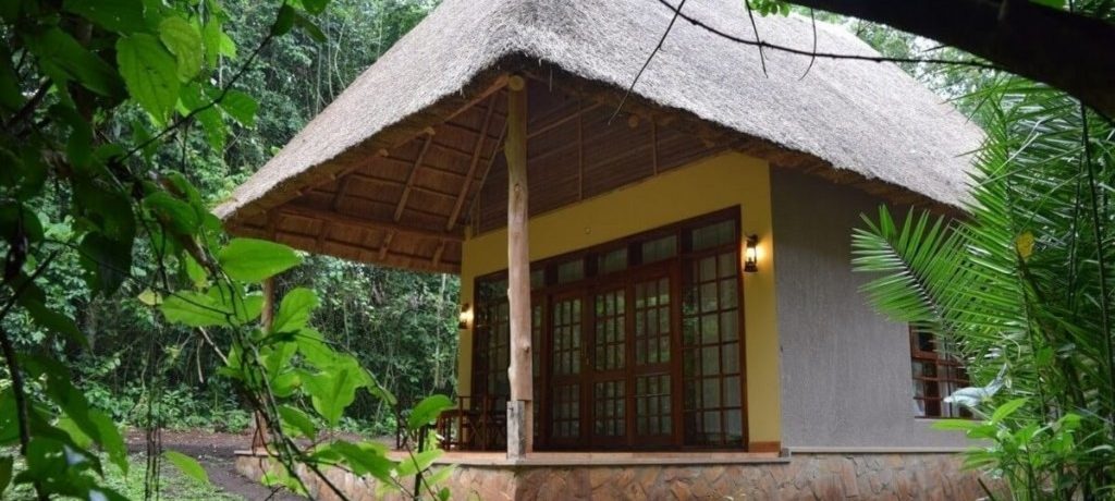 Primate Lodge