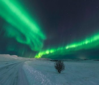 Reykjavik Noorderlicht, IJsland