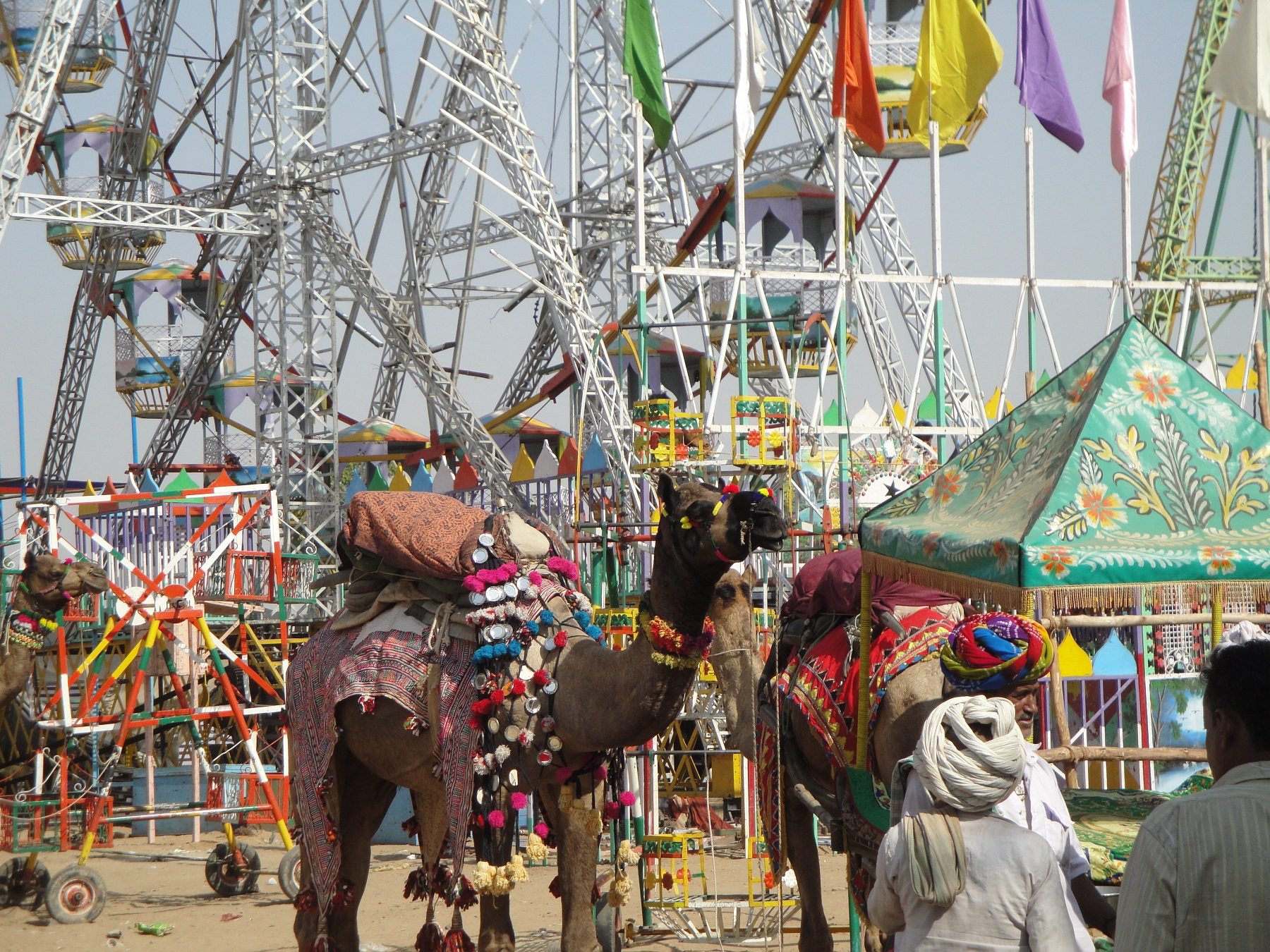 Festival in Pushkar. Foto: © T.L. Thompson