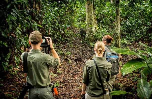 Odzala National Park laagland gorilla tracking, Klimaat congo