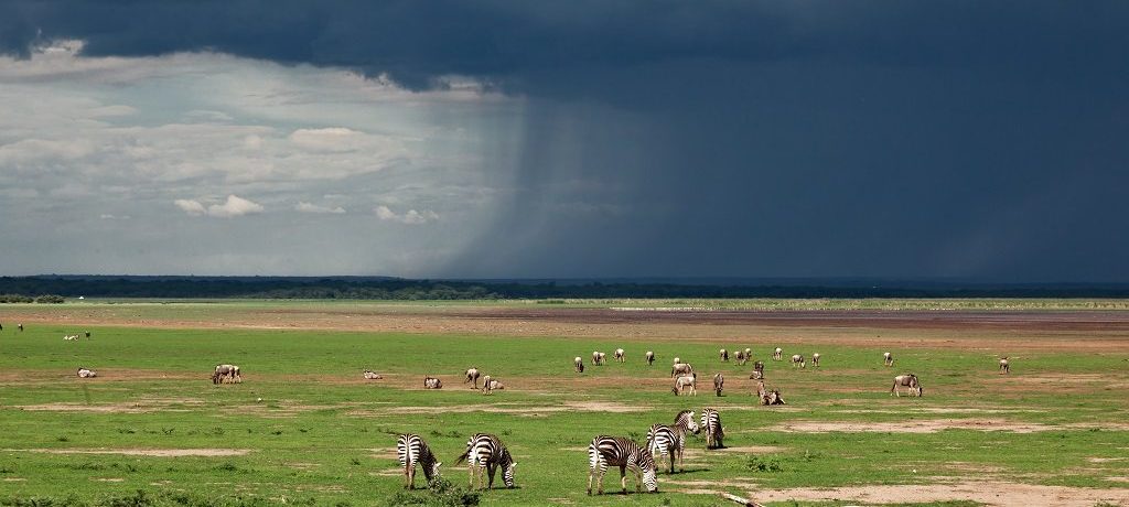 Beste tijd voor Tanzania