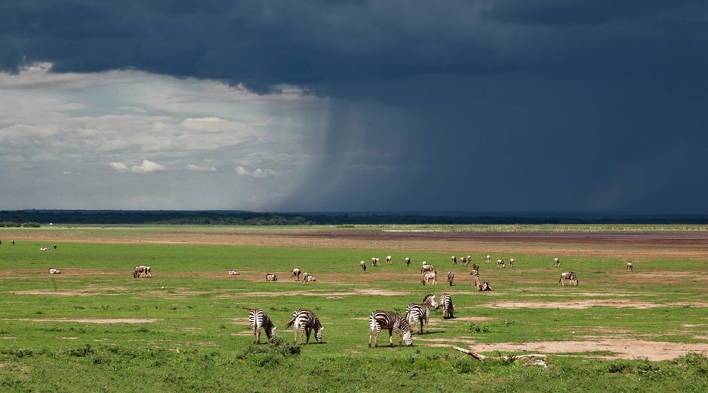 Beste tijd voor Tanzania