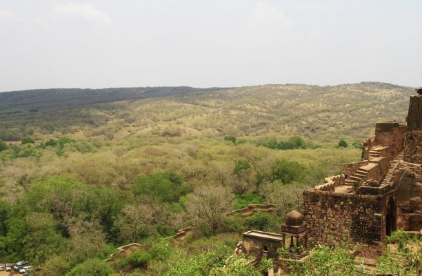 Ranthambore Fort, Ranthambore National Park