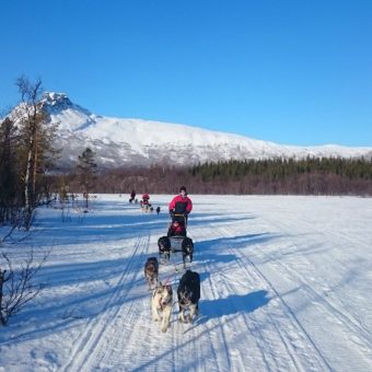 Huskysafari, Lyngenfjord, Noorwegen