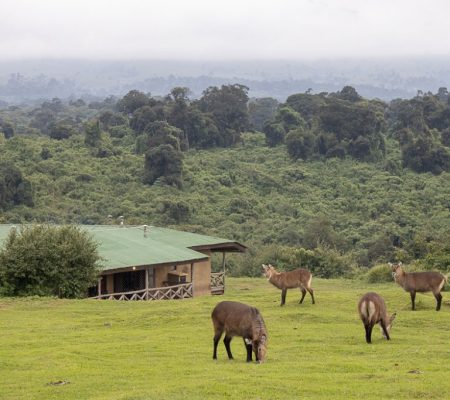 Rhino Lodge