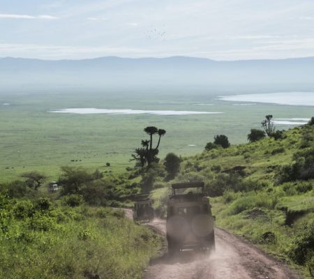 Ngorogoro