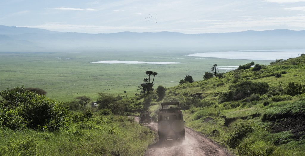 Ngorogoro