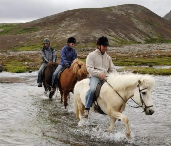 Paardrijden IJsland
