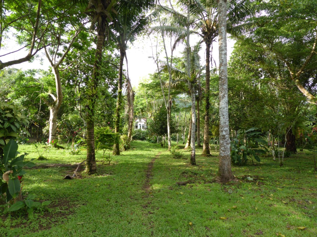 Tuin Pousada Roça Bombaim