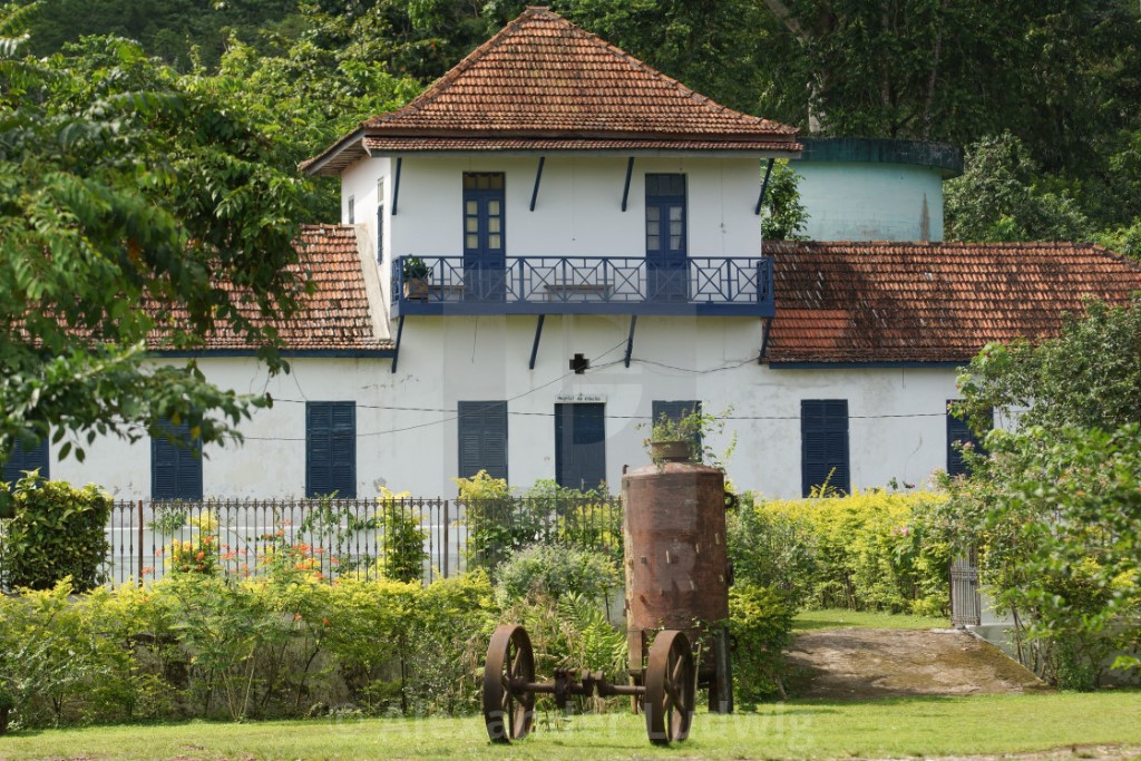 Roça São João