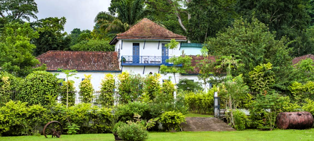 Roca Sao Joao
