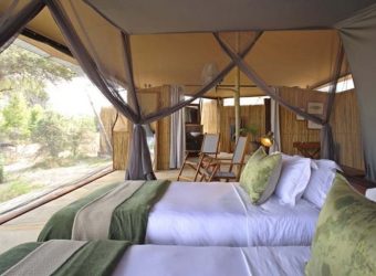 Roho Ya Selous tent