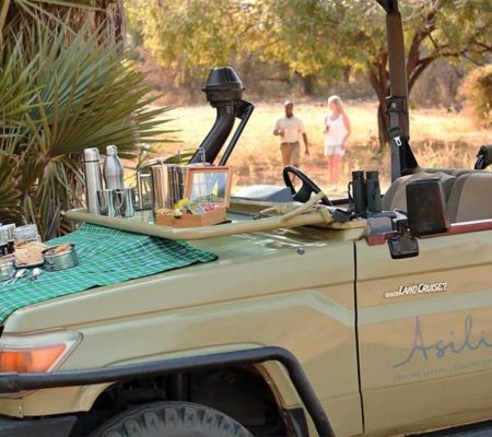Game drive