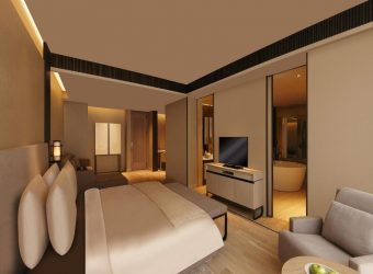 Roseate House New Delhi Corporate suite, Roseate House New Delhi