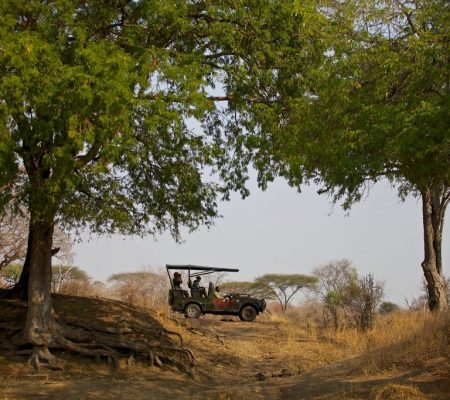 Game drive