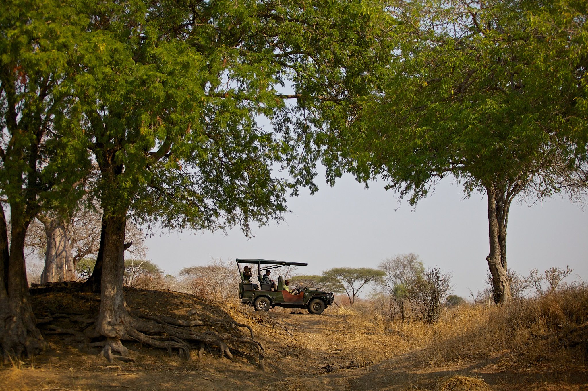 Ruaha River Lodge foto: © Niels van Gijn