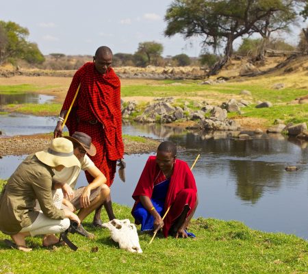 Wandelsafari