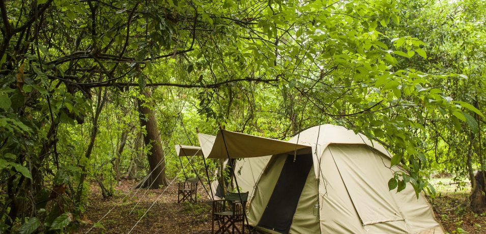 Rubondo Island Camp