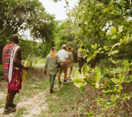 Wandelsafari