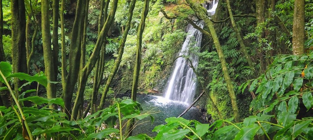 Eilandhoppen Azoren deluxe, Salto do Prego, Sao Miguel, Azoren