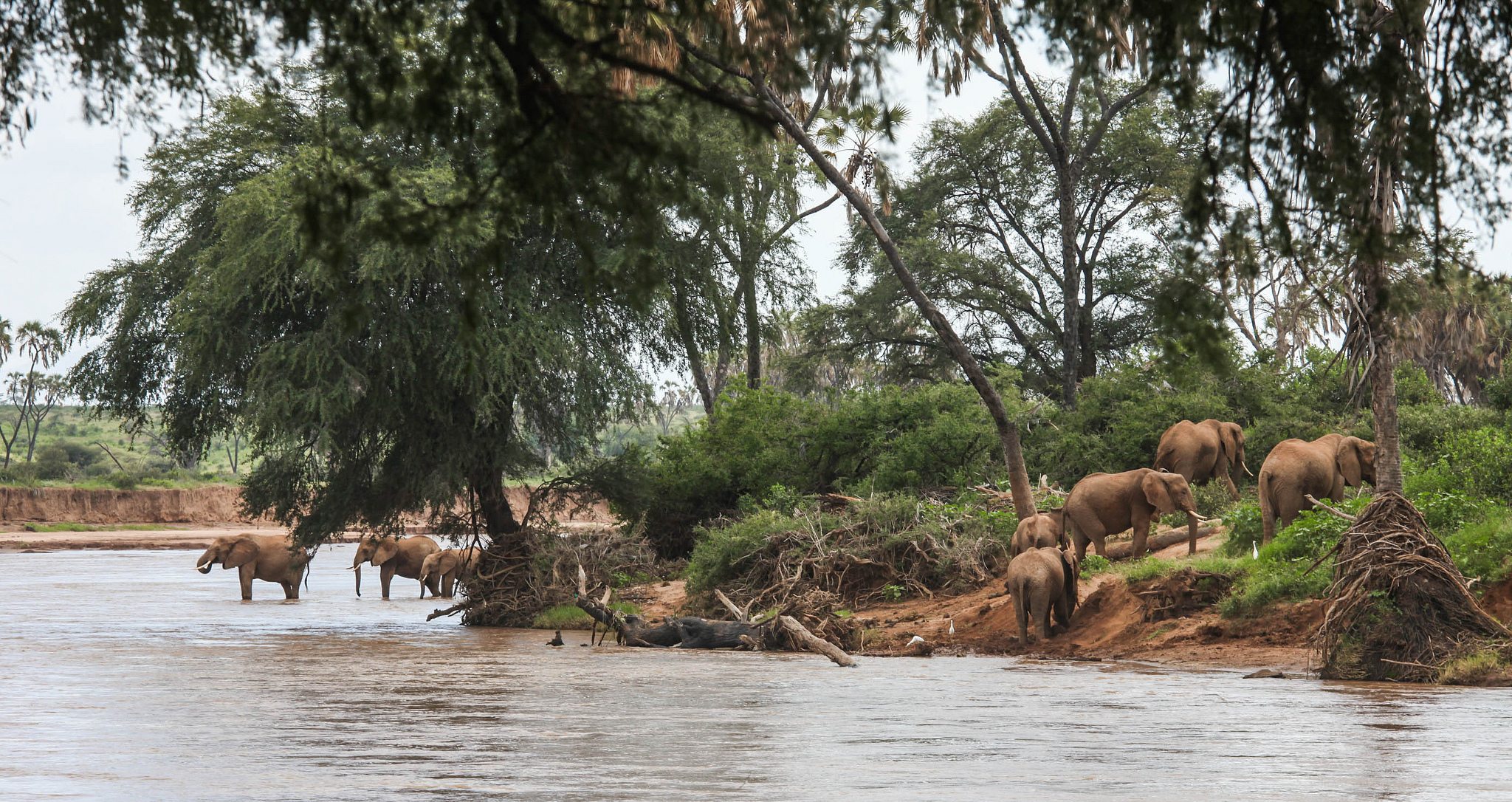 Samburu National Reserve