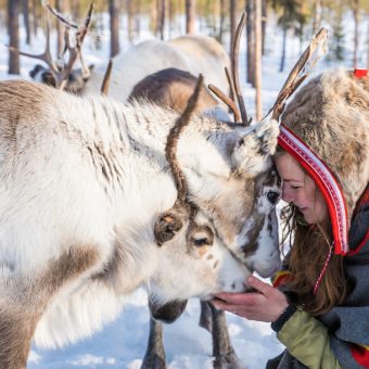 Sami cultuur