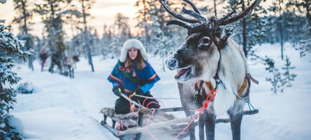 Sami cultuur & rendier Farm, Lapland