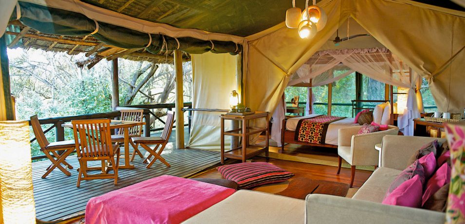 Samuru Intrepids Tented Camp