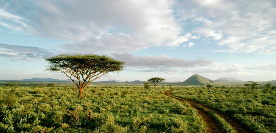 Samuru Intrepids Tented Camp