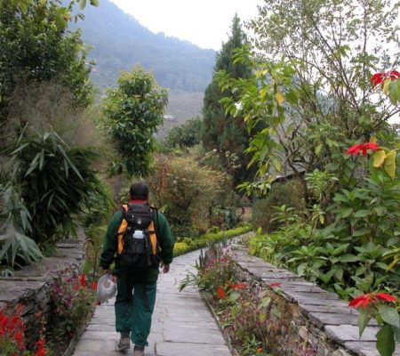 Sanctuary Lodge Birethanti