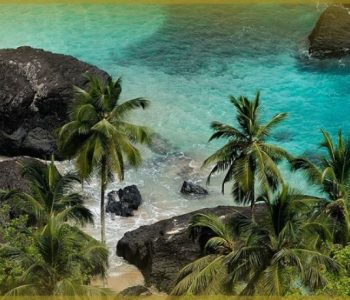 Principe stranden en regenwouden