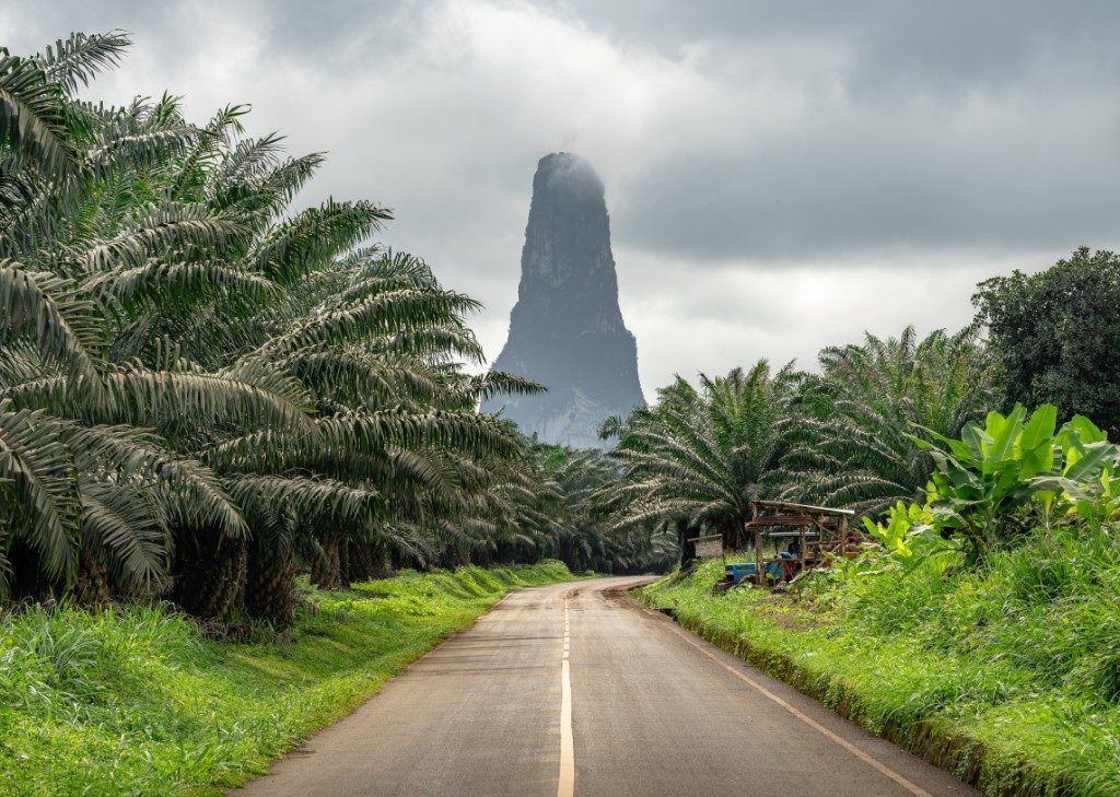 Sao Tomé & Principe reizen | Sundowner Wildlife Holidays
