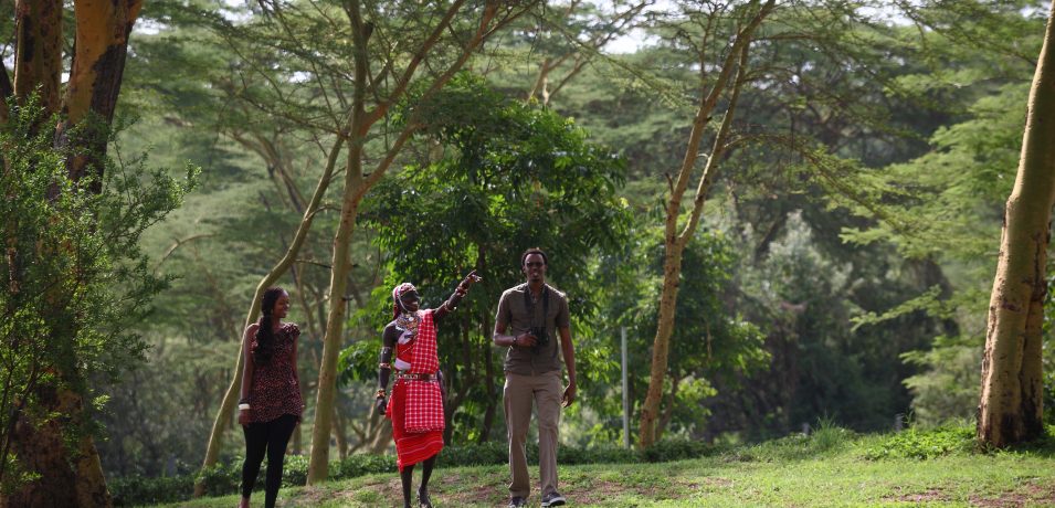 Sarova Lion Hill Lodge