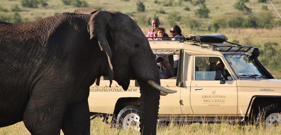 Sarova Mara Game Camp