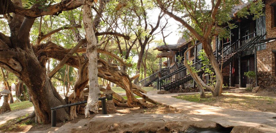 Sarova Shaba Game Lodge