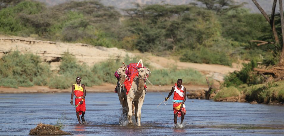 Sarova Shaba Game Lodge