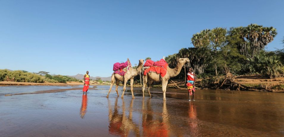 Sarova Shaba Game Lodge