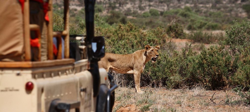 Saruni Samburu Lodge