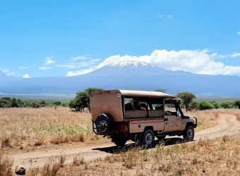 Game Drive Amboseli