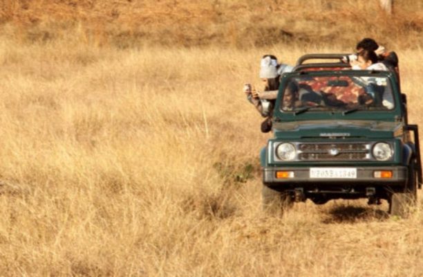 Satpura National Park - Forsyth lodge