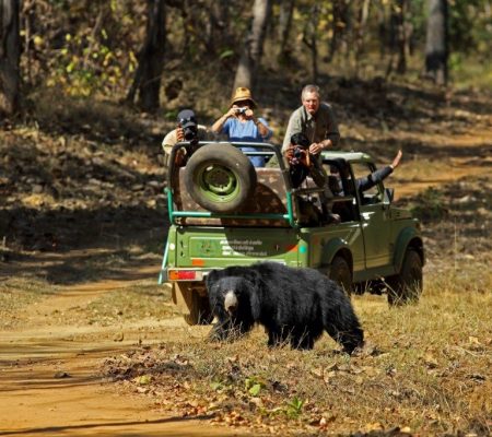 Satpura, India - Reni Pani jungle lodge