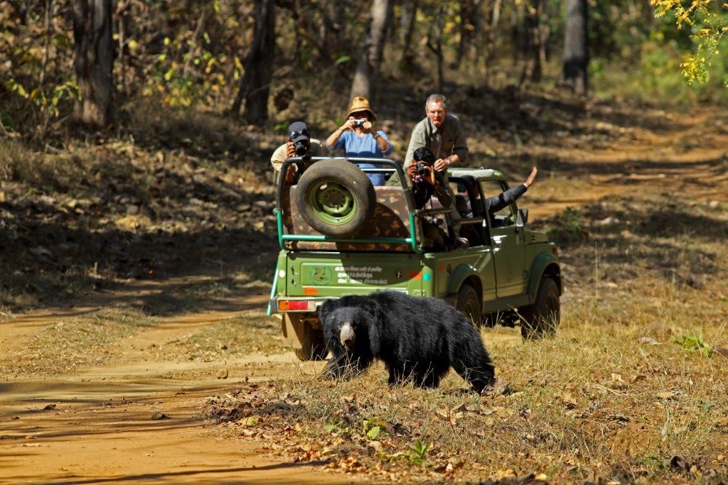 Satpura, India - Reni Pani jungle lodge