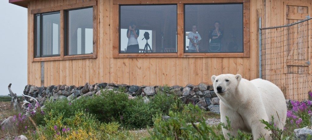 Ijsberenlodges Canada, Seal River Heritage Lodge