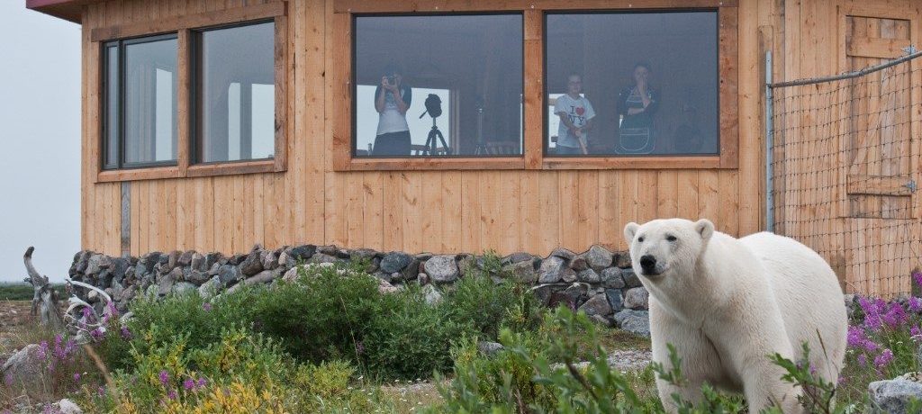 Seal River Heritage Lodge