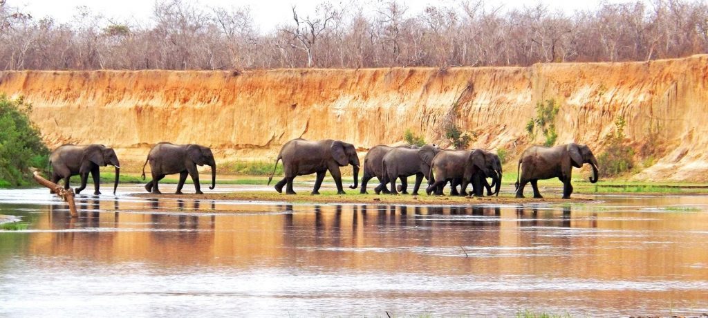 Foto: © Adventure Camps of Tanzania