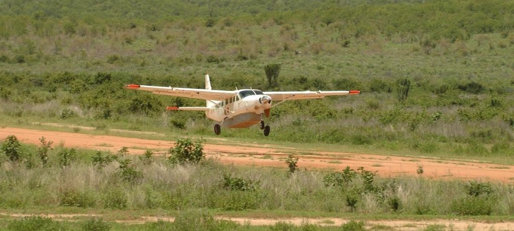 Selous Fly-in, Luxe fly in safari zuid Tanzania