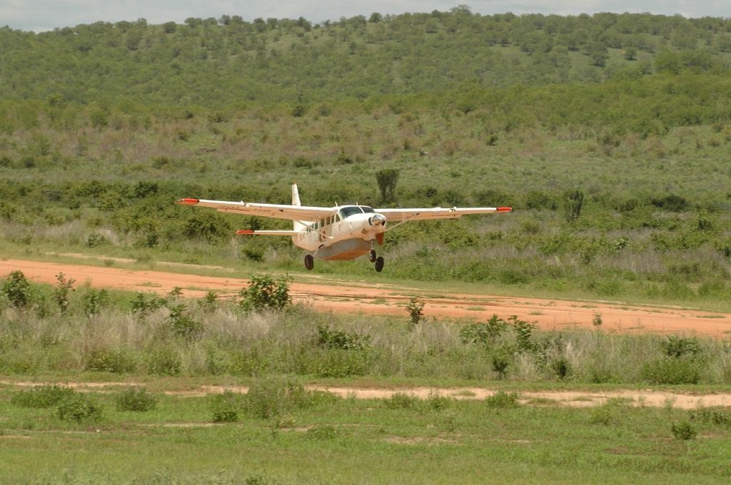 Selous Fly-in, Luxe fly in safari zuid Tanzania