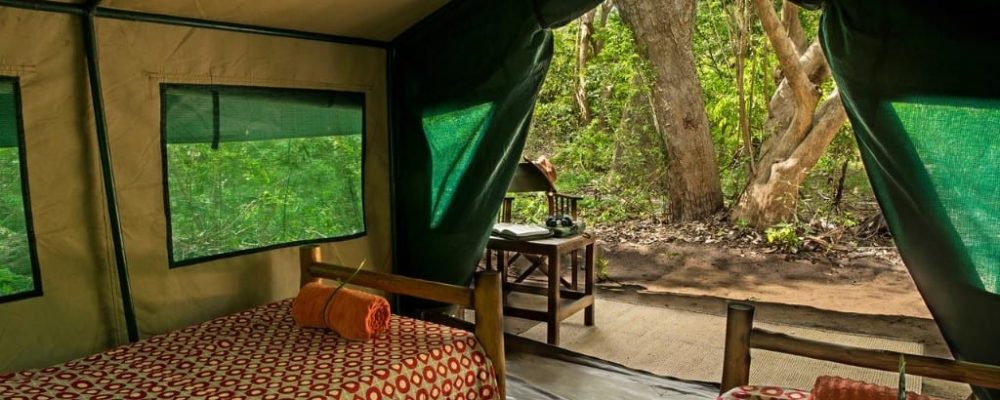 Selous River Camp