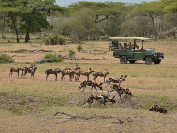 Fly in safari zuidwest Tanzania